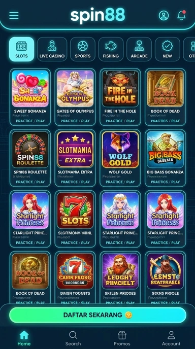 Tampilan katalog aplikasi spin88